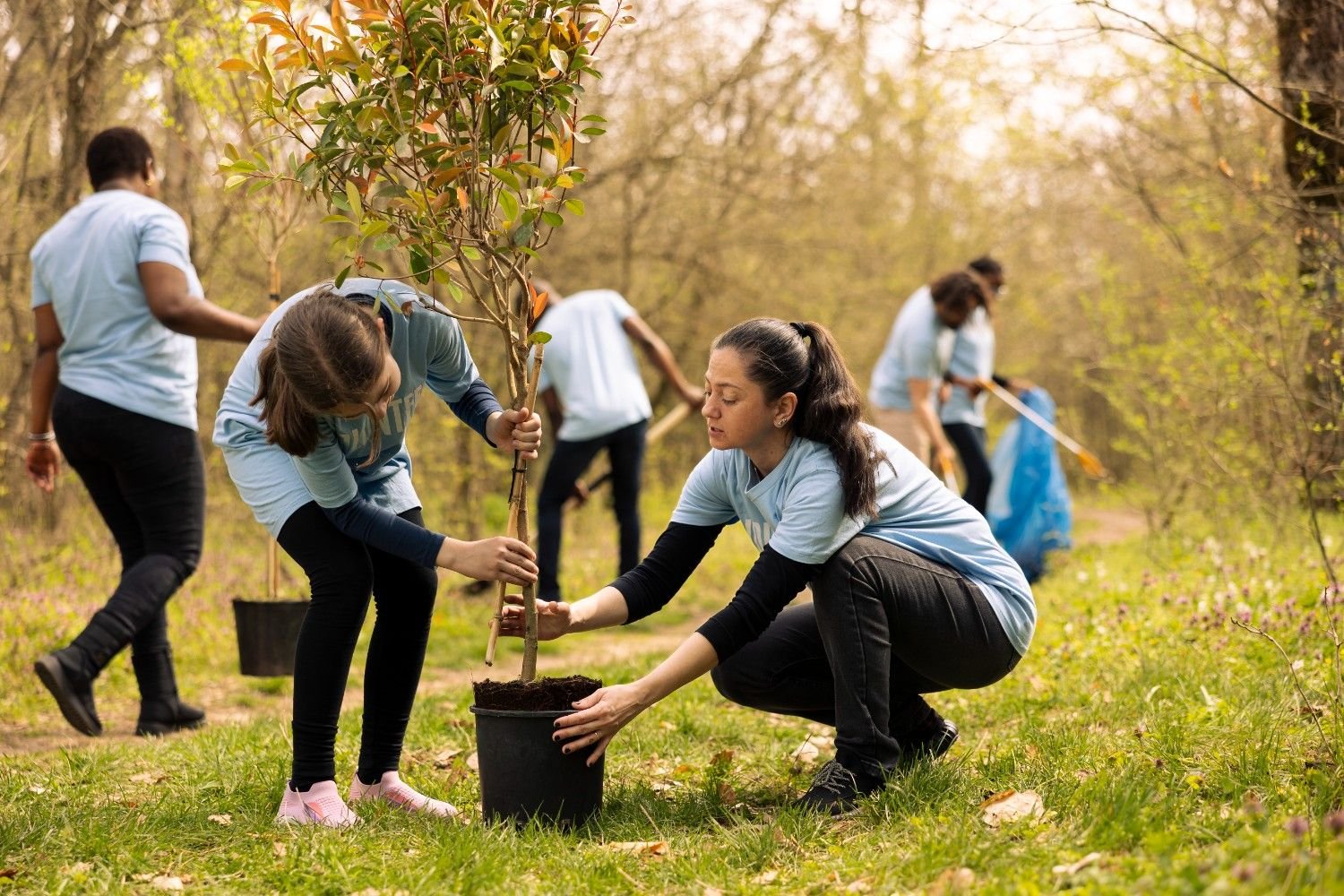 Info Charitable Trust | Sustainability