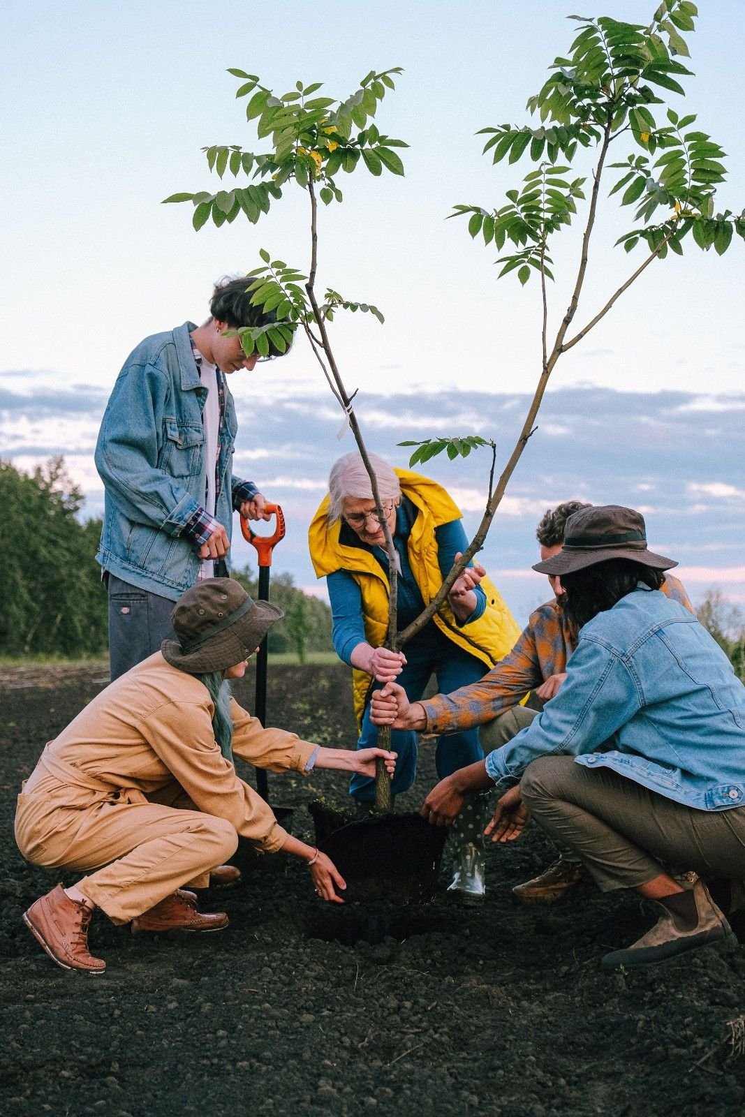 Info Charitable Trust | Environment