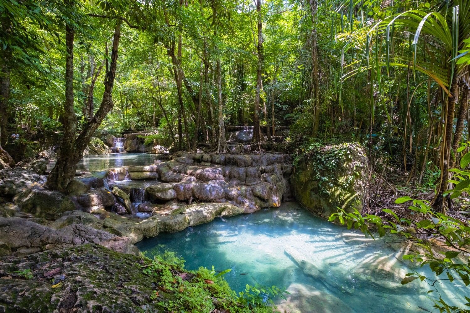 Info Charitable Trust | Environmental Protection