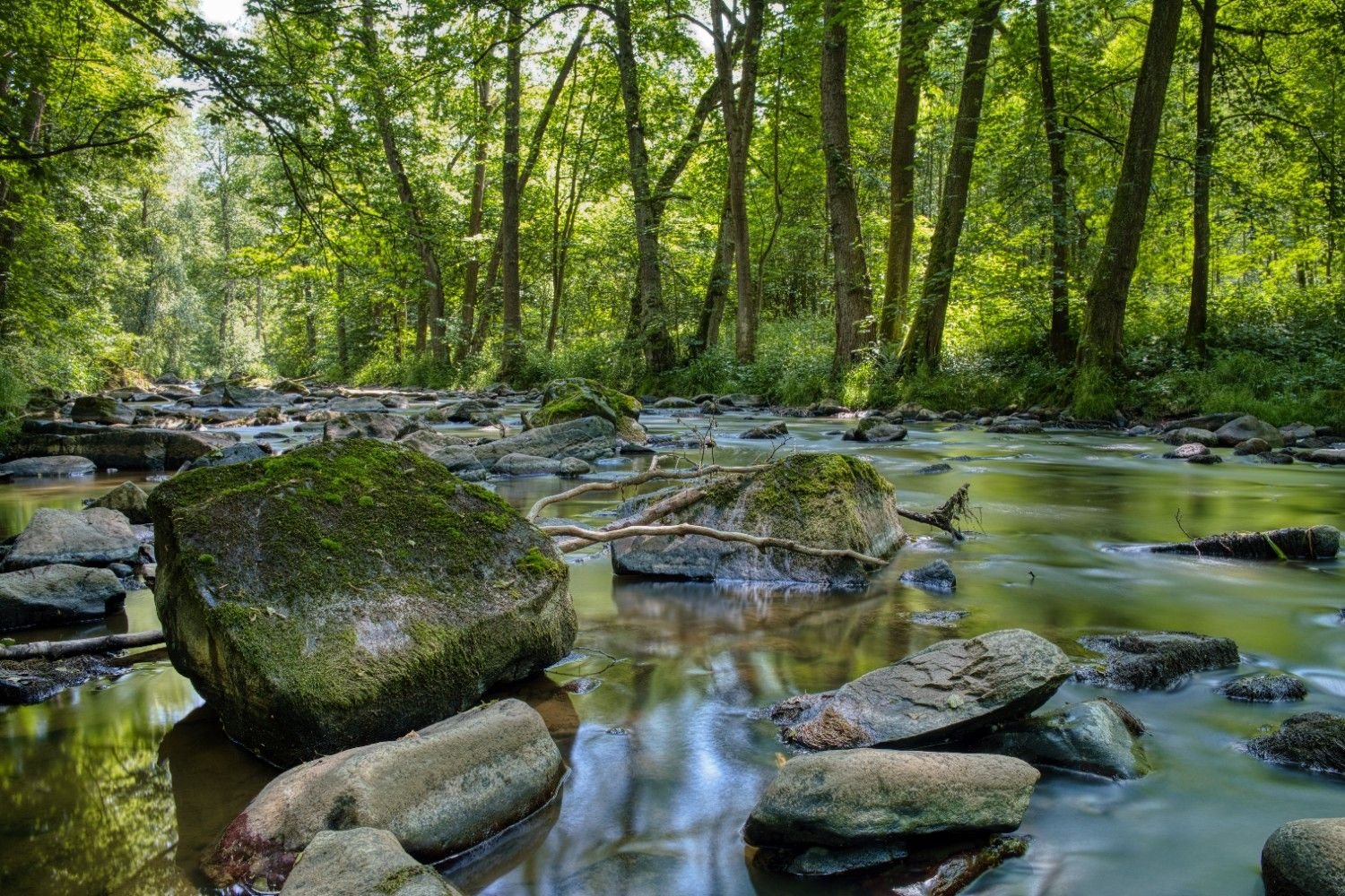 Info Charitable Trust | Green Nature
